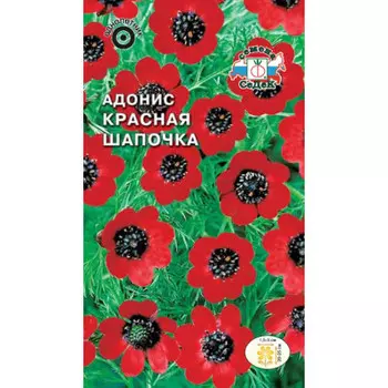 Цветы адонис красная шапочка 1г