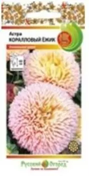 Цветы астра коралловый ёжик 50 шт р/о 701924