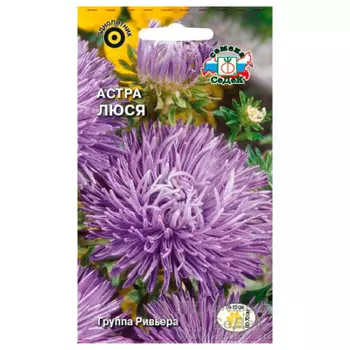 Цветы астра люся игольчатая темно-сиреневая 0.2 г даёшь урожай