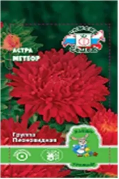 Цветы астра метеор пионовидная красная 0.2 г даёшь урожай