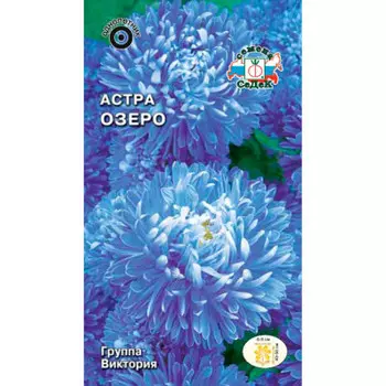 Цветы астра озеро королевская карликовая голубая 0,1г