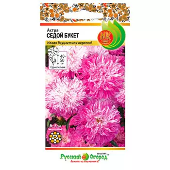 Цветы астра седой букет 0.1 г р/о 700121