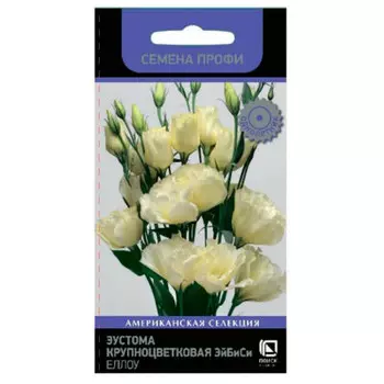 Цветы эустома крупноцветковая эйбиси еллоу 10 шт поиск