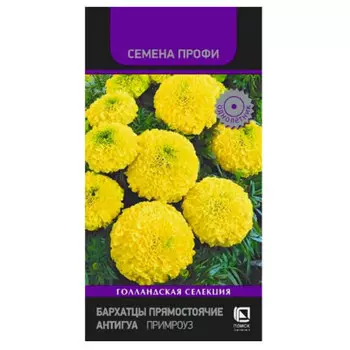 Цветы бархатцы прямостоячие антигуа примроуз 15 шт поиск