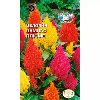 Цветы целозия пампас плюме 0,2г