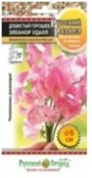 Цветы душистый горошек элеанор удалл 7 шт р/о 770809