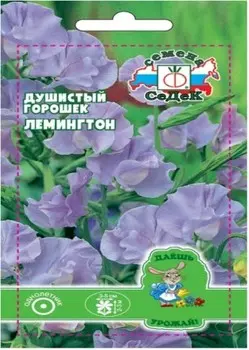 Цветы душистый горошек лемингтон 0.5 г даёшь урожай