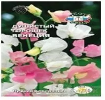 Цветы душистый горошек венеция маммот смесь цветов 0.2 г