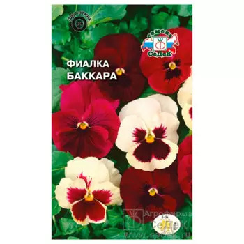 Цветы фиалка баккара витрока смесь 0,1г седек