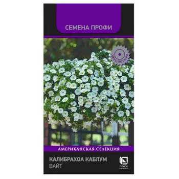 Цветы калибрахоа каблум вайт 5 шт поиск