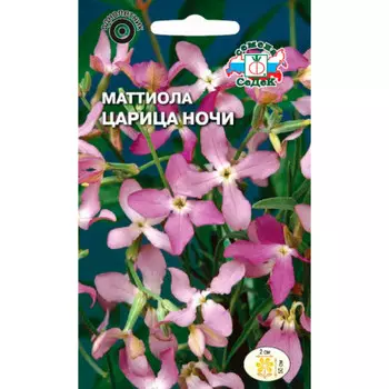 Цветы маттиола царица ночи двурогая 1г