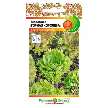 Цветы молодило горная королева смесь 5 шт р/о 703801