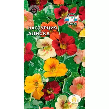 Цветы настурция низкорослая аляска 1г