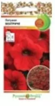 Цветы петуния беатриче 0.2 г р/о 703290