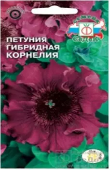 Цветы петуния крупноцветковая махровая корнелия f1 10шт седек