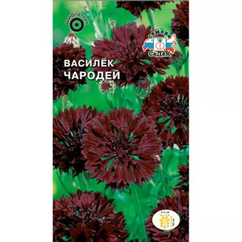 Цветы василек чародей темно-бордовый 0,1г