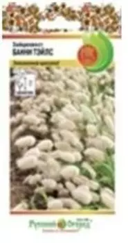 Цветы зайцехвост банни тэйлс 50 шт р/о 7026441