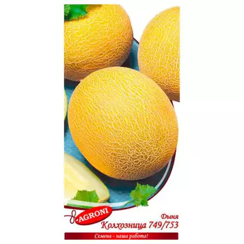 Дыня колхозница 749/753 1г агрони