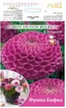 Георгина франц кафка 1 шт 127776