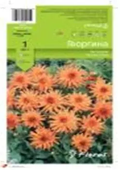 Георгина сэлмон 1 шт 8250