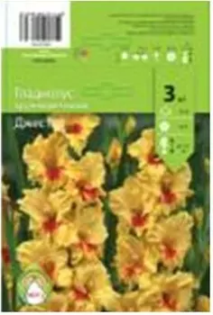 Гладиолус джестер 3 шт нк030793