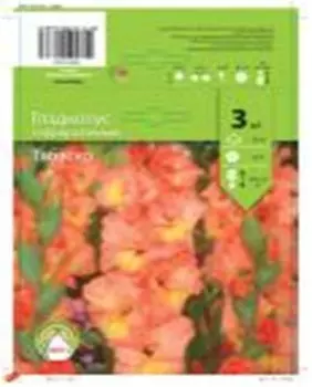 Гладиолус гофрированный табаско 3 шт