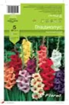 Гладиолус микс 810 5 шт 115645