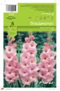 Гладиолус пинк 810 5 шт 8266