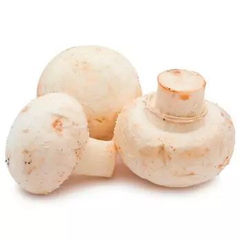 Грибы шампиньоны 2к вес