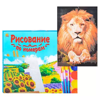 Холст с красками по номерам Рыжий кот 30х40см красивый лев х-3341