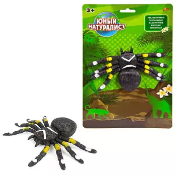 Игрушка абтойс юный натуралист животные паук полосатый