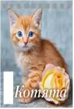 Календарь настольный перекидной домик котята