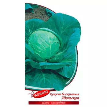 Капуста белокочанная июньская 0,5г Agroni