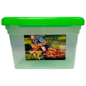 Контейнер 5л фанбокс пикник салатовый