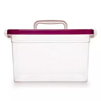 Контейнер для хранения 6,5л Полимербыт 310*200*180