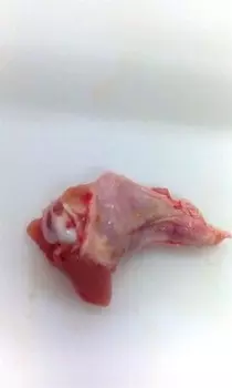 Крыло цыпленка бройлера охл плечевая часть мираторг брянский бройлер