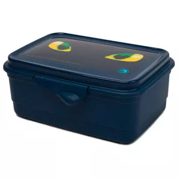 Ланчбокс тренера 0,75л Полимербыт как приручить дракона 4355047