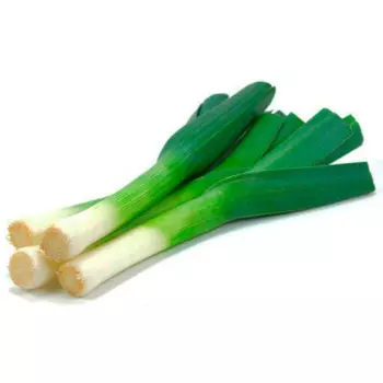 Лук порей весовой