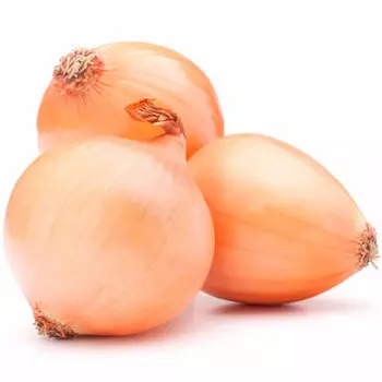 Лук репчатый эконом вес