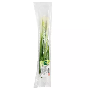 Лук зеленый Европа 100 г шт