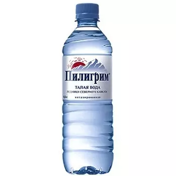 Мин. вода пилигрим 0.5 л газ пэт