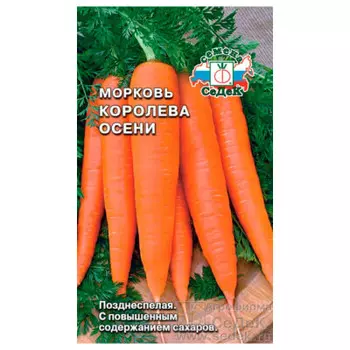 Морковь королева осени 2г даёшь урожай