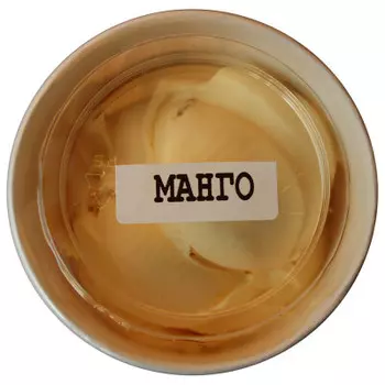 Мороженое angelato 120 г сливочное манговое