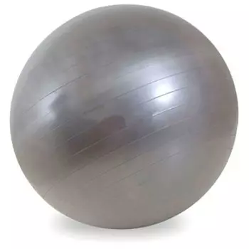 Мяч гимнастический 65см серебристый jb0206573