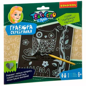 Набор для творчества Bondibon гравюра сова серебро вв1958