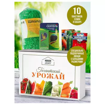 Набор House Store гигантский размер 32*22*10см