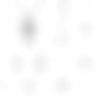 Носки мужские брест фор мен р.25 ассорти 14 с2122-д38 001