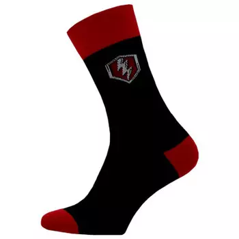 Носки мужские Брест р.29 черный 18с2131