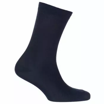 Носки мужские Гамма р.23-25 черный с466