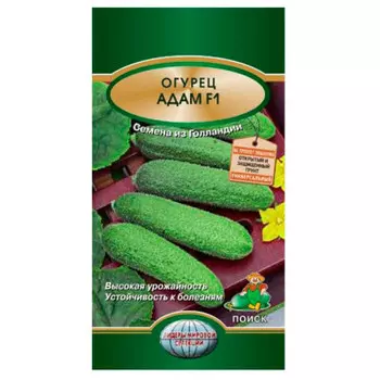 Огурец адам f1 10 шт поиск